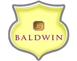 logo-image logo-image - brands-top-baldwin
